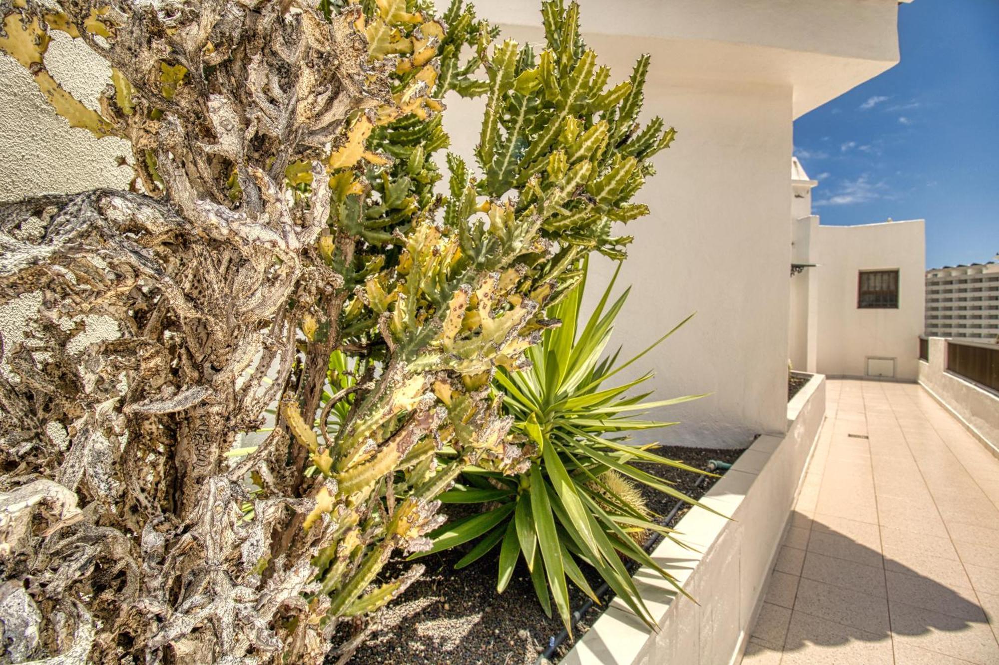 Penthouse Sea View Jacuzzy Terrace & Pool Apartment Playa Fanabe Luaran gambar