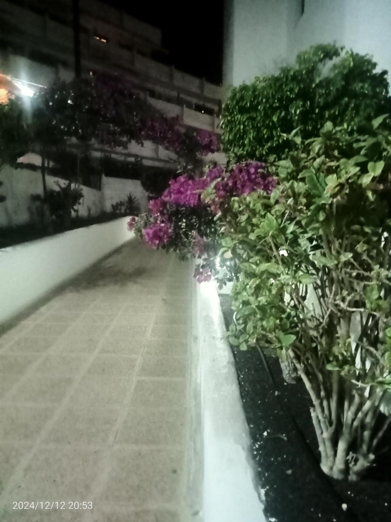 Penthouse Sea View Jacuzzy Terrace & Pool Apartment Playa Fanabe Luaran gambar