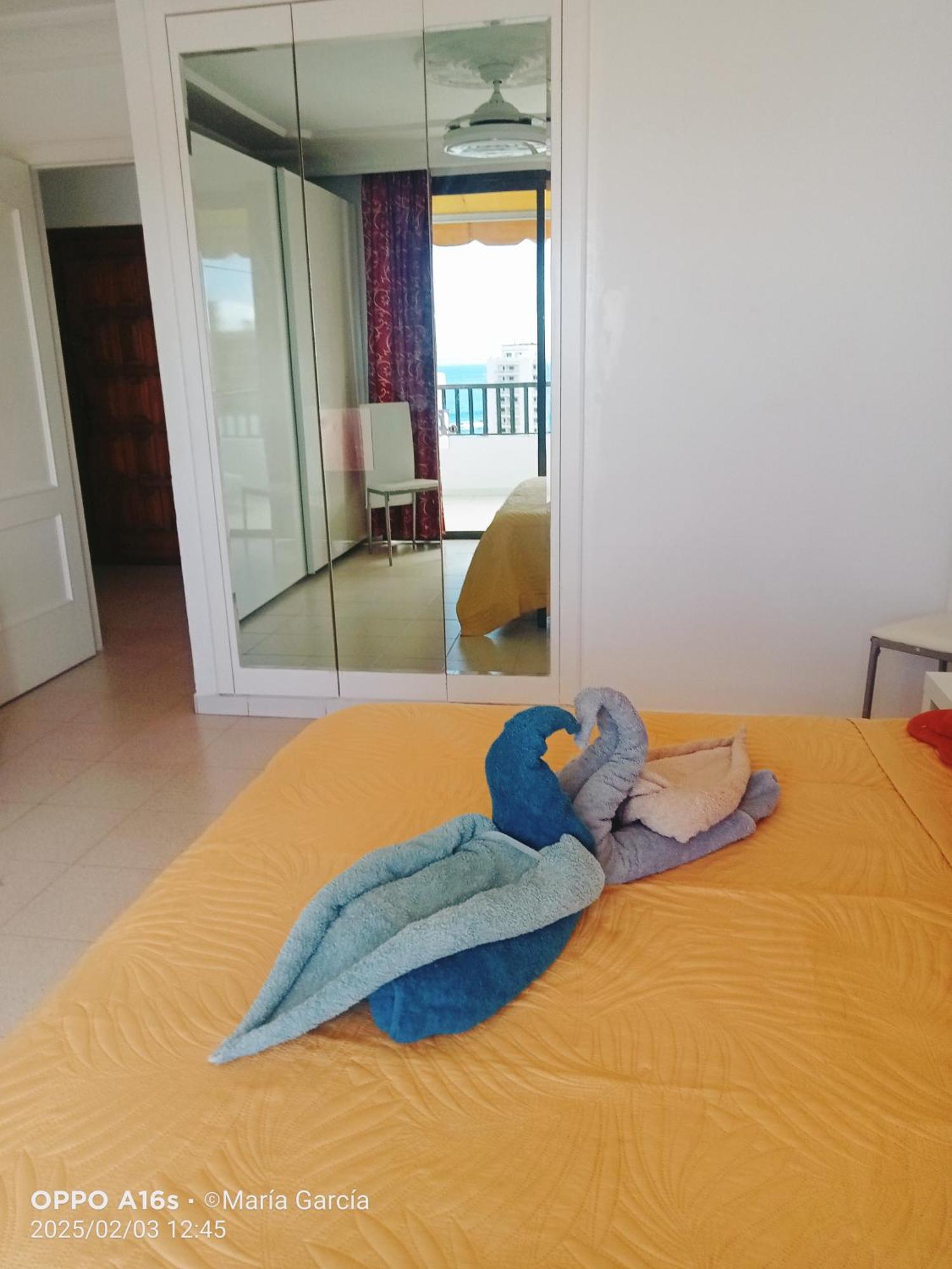 Penthouse Sea View Jacuzzy Terrace & Pool Apartment Playa Fanabe Luaran gambar
