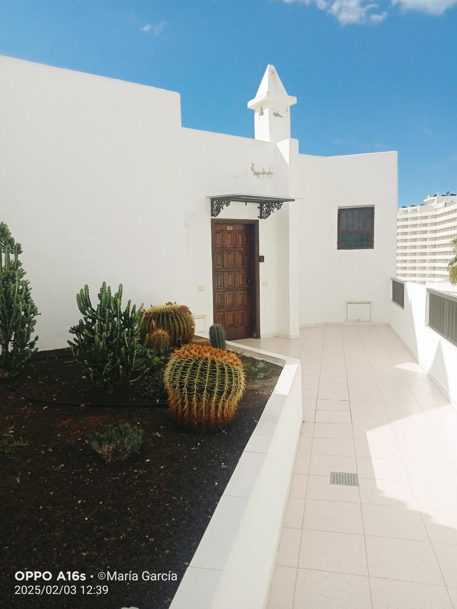 Penthouse Sea View Jacuzzy Terrace & Pool Apartment Playa Fanabe Luaran gambar
